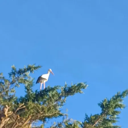 Jacambra Prázdninový dům Lédenon