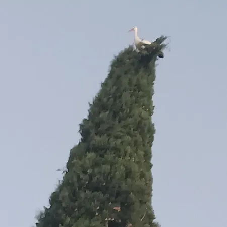 Prázdninový dům Jacambra *