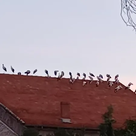 Feriehus Jacambra *