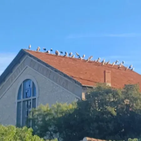 Feriehus Jacambra Lédenon