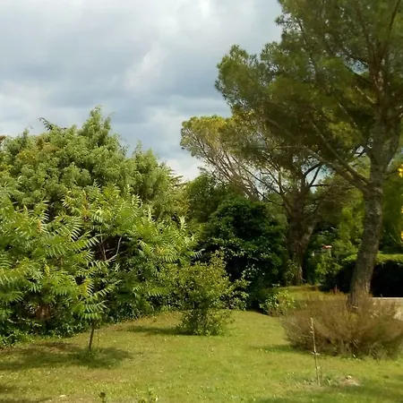Jacambra * Lédenon
